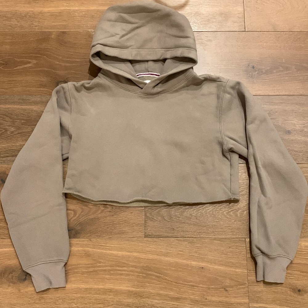 Aritzia TNA Cropped hoodie